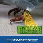 Tipes_Band_Scan